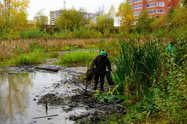 С опозданием на четыре года, но северчане получат чистое озеро в городе