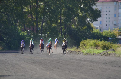 На Иркутском ипподроме прошли соревнования на призы губернатора – в копилку два рекорда